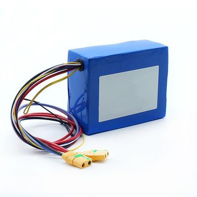 SGS 13s 48v 24Ah 21700 Li Polymer Battery Pack BIS MSDS IEC62133 Rohs
